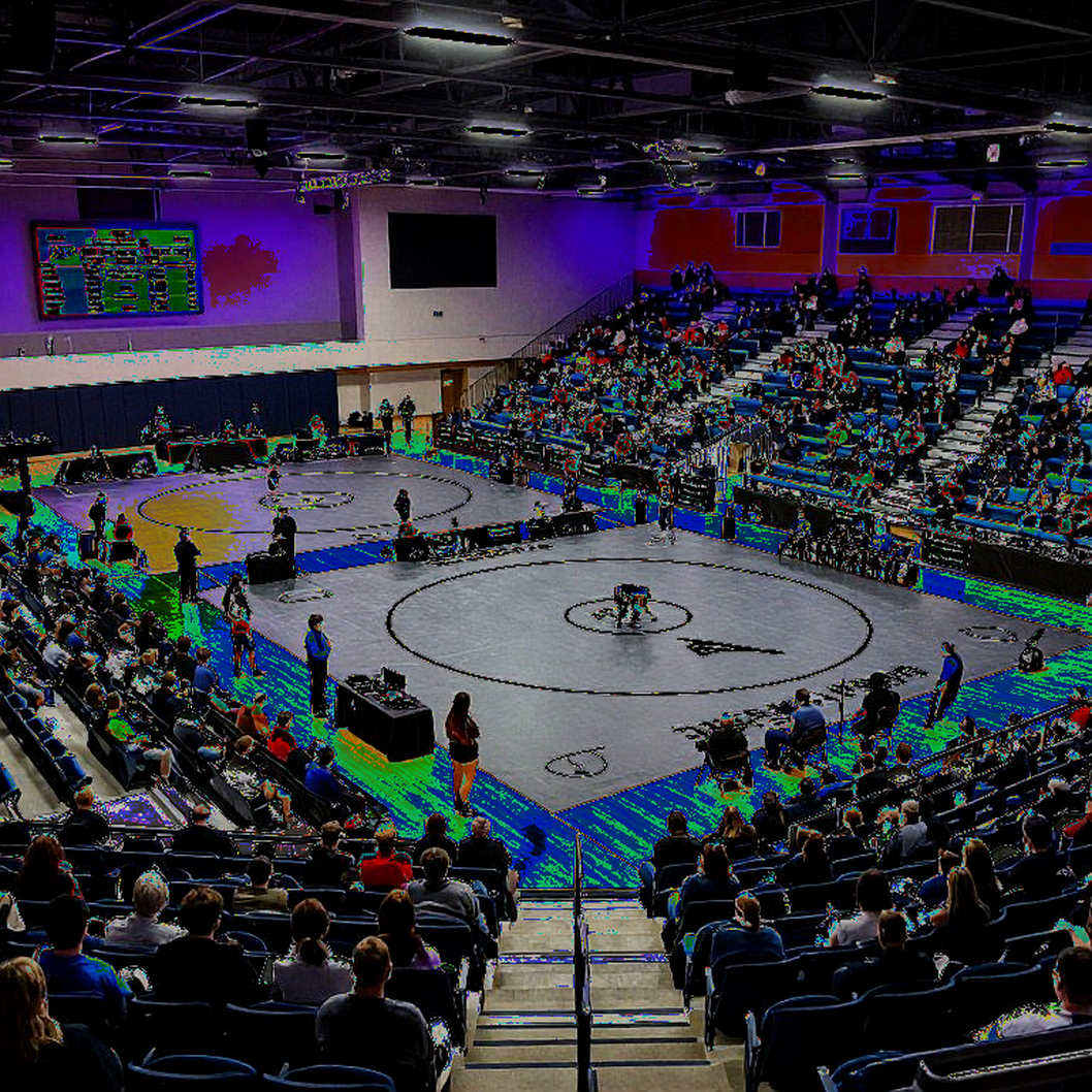 Eight Medals, Zero Gold: Haryana Built India's Wrestling Pipeline, Delhi Sent the Bill